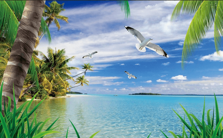 Bay Landscape Wallpaper AJ Wallpaper