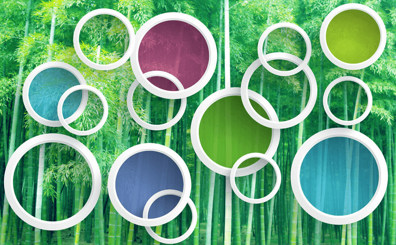 Bamboo Forest And Circles Wallpaper AJ Wallpaper