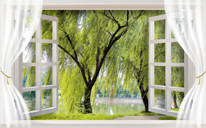 Window Willow Trees Wallpaper AJ Wallpaper