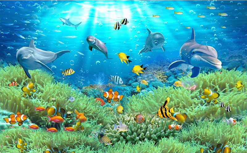 Rich Seabed Wallpaper AJ Wallpaper