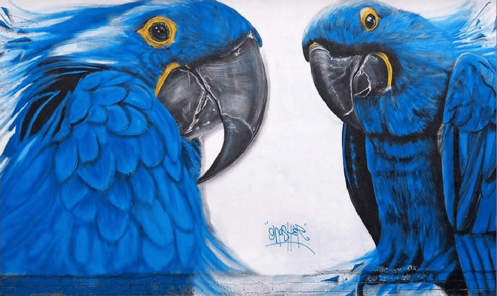 Egles Wallpaper AJ Wallpaper