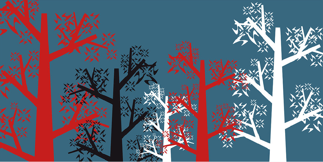 Trees Graffiti Wallpaper AJ Wallpaper