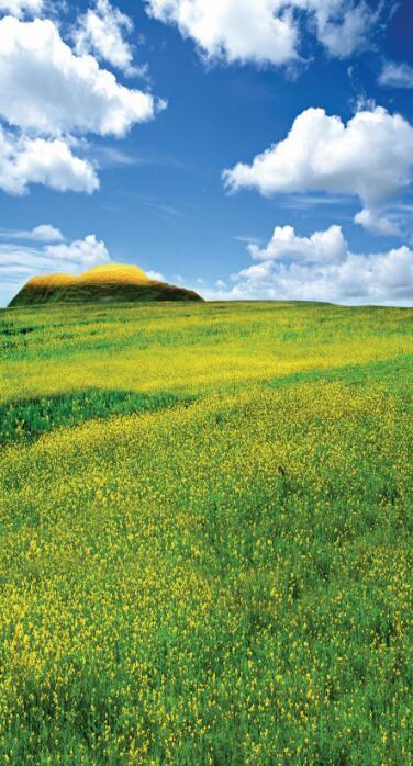 3D scarecrow grassland blue sky door mural Wallpaper AJ Wallpaper