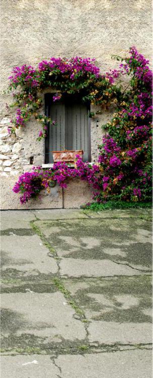 3D windowsill flowers wall door mural Wallpaper AJ Wallpaper