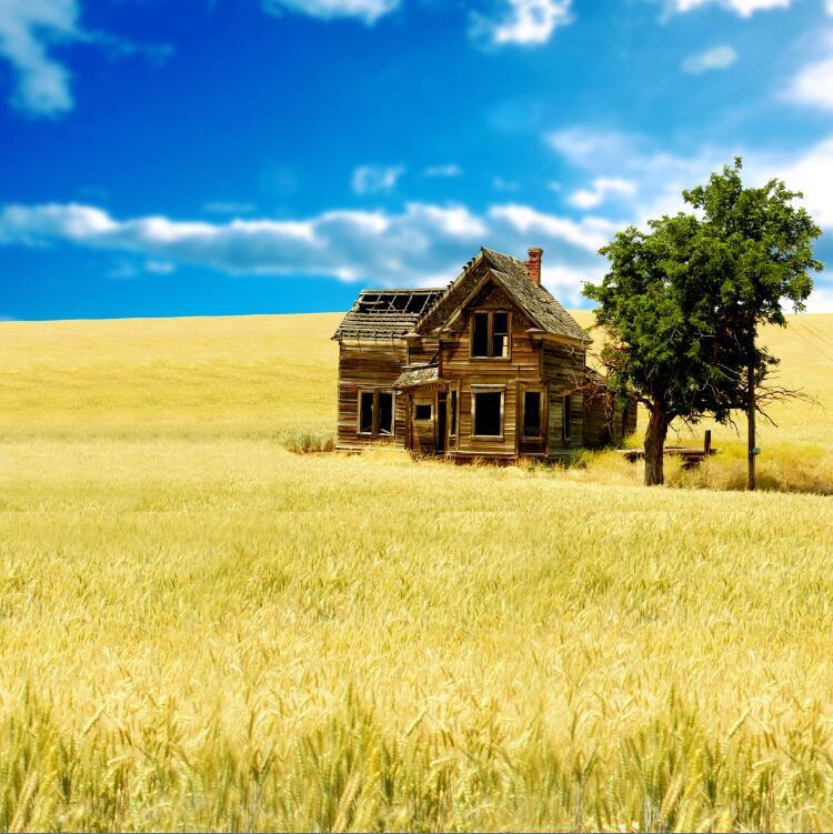 3D Wheat Field Wood House 113 Garage Door Mural Wallpaper AJ Wallpaper
