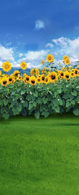 3D sunflower field heaven door mural Wallpaper AJ Wallpaper