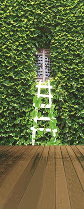 3D Ivy window white staircase door mural Wallpaper AJ Wallpaper