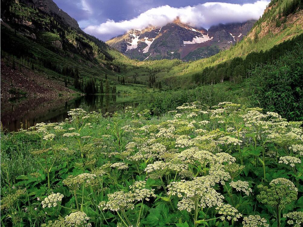 3D Mountains Lake Flowers 101 Garage Door Mural Wallpaper AJ Wallpaper