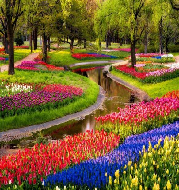 3D Creek Flowers 897 Curtains Drapes Wallpaper AJ Wallpaper