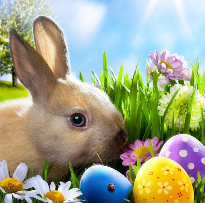 3D Grass Rabbit 845 Curtains Drapes Wallpaper AJ Wallpaper