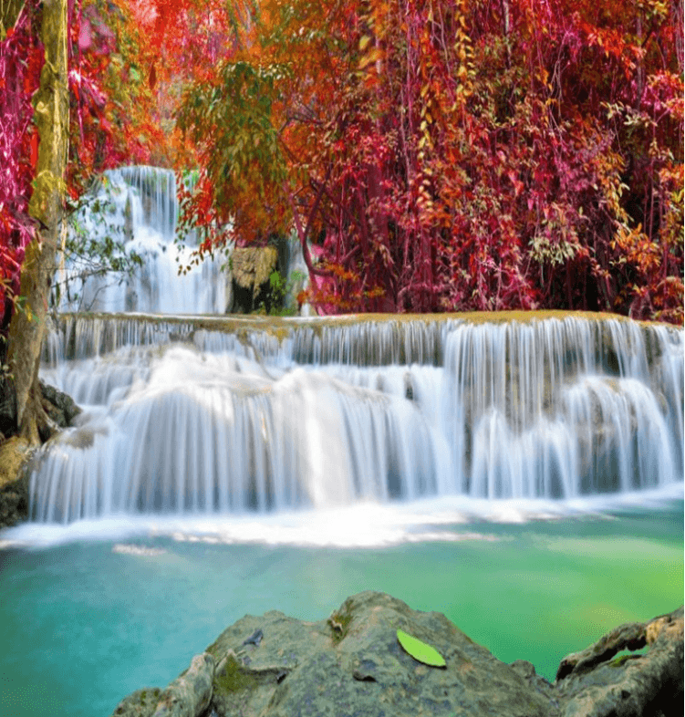 3D Pretty Vine Waterfall 1053 Curtains Drapes Wallpaper AJ Wallpaper