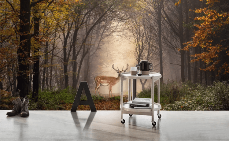 3D Sika Deer Forest WC777 Wall Murals Wallpaper AJ Wallpaper 2