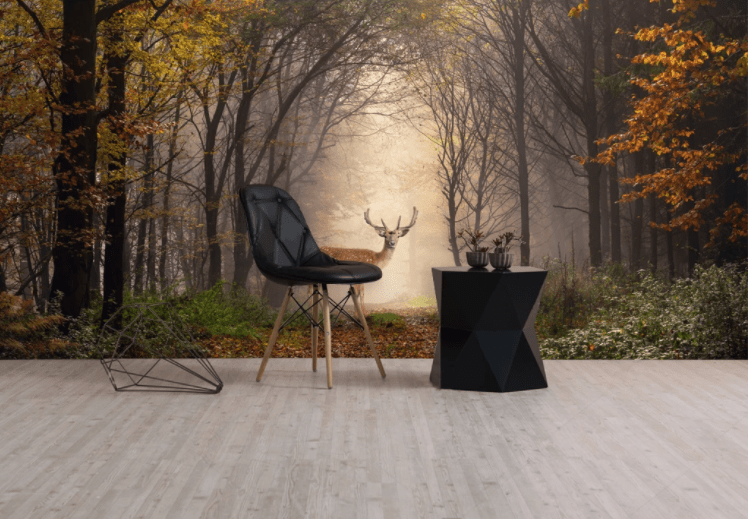3D Sika Deer Forest WC777 Wall Murals Wallpaper AJ Wallpaper 2