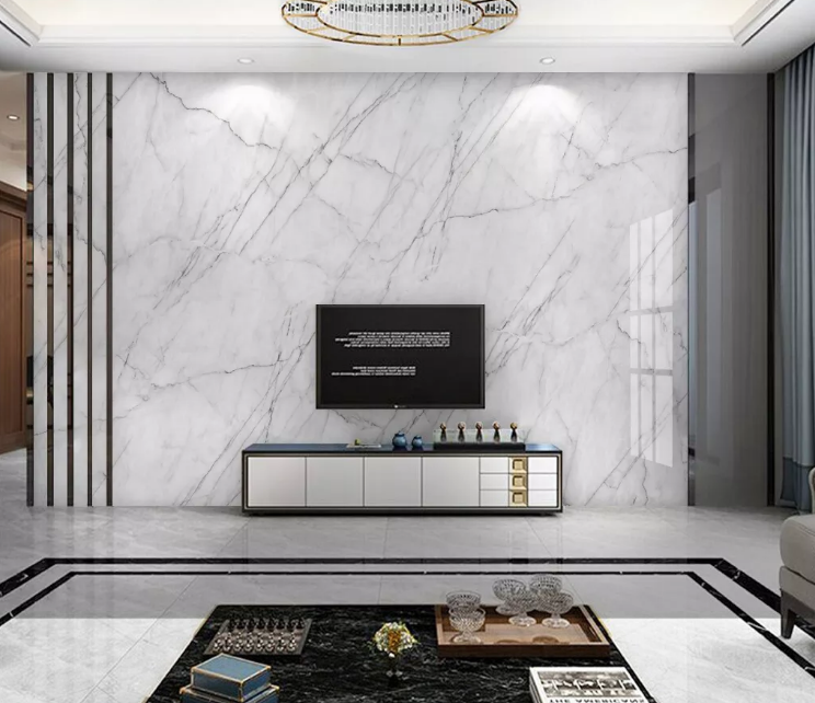 3D Ink Line WC2242 Wall Murals