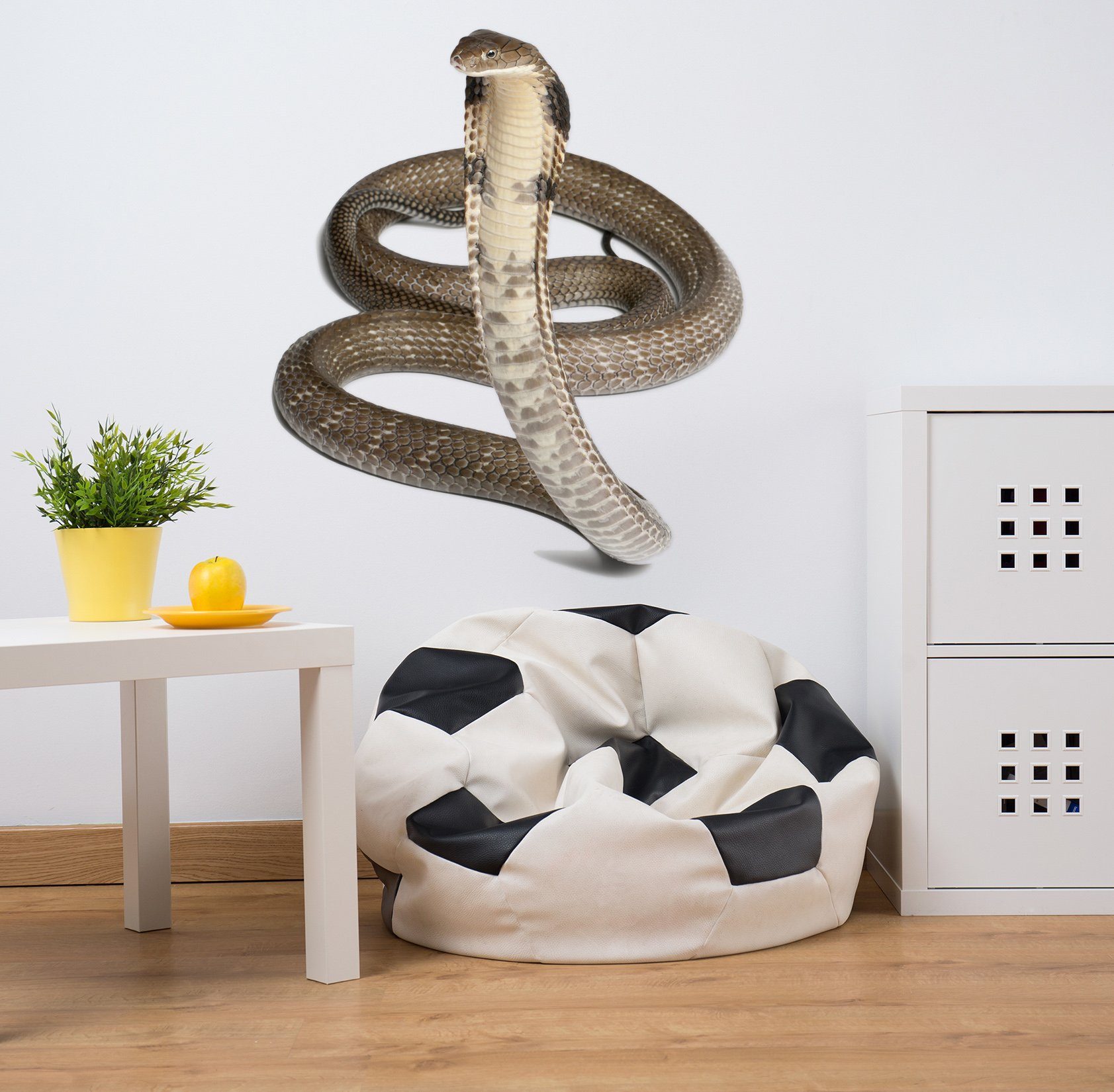 3D Snake Looking Up 161 Animals Wall Stickers Wallpaper AJ Wallpaper