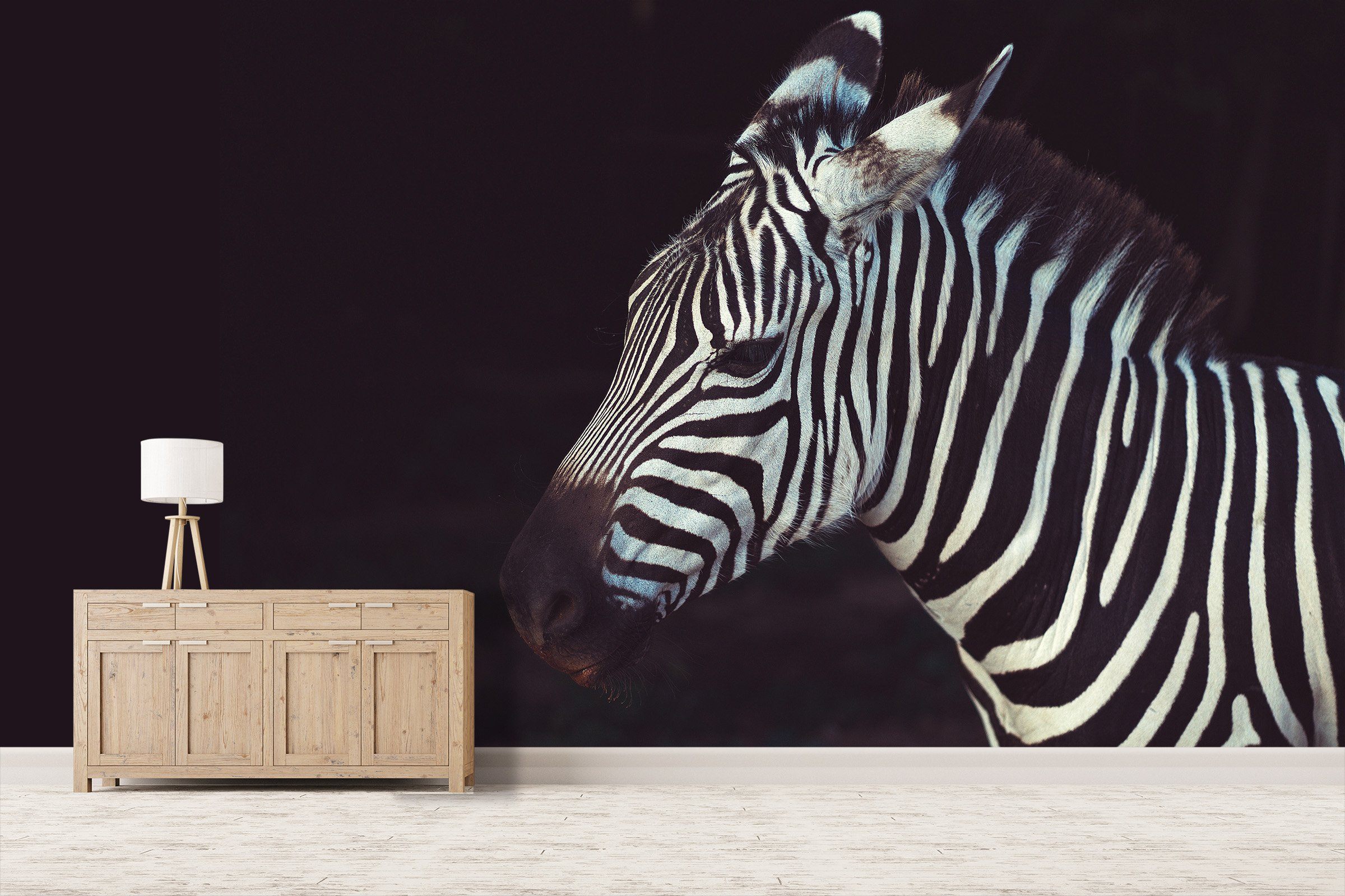 3D Zebra 579 Wallpaper AJ Wallpaper