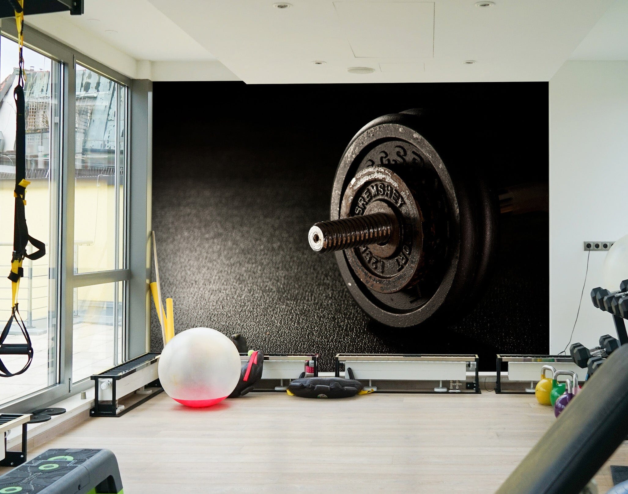 3D Dumbbell 206 Wall Murals Wallpaper AJ Wallpaper 2