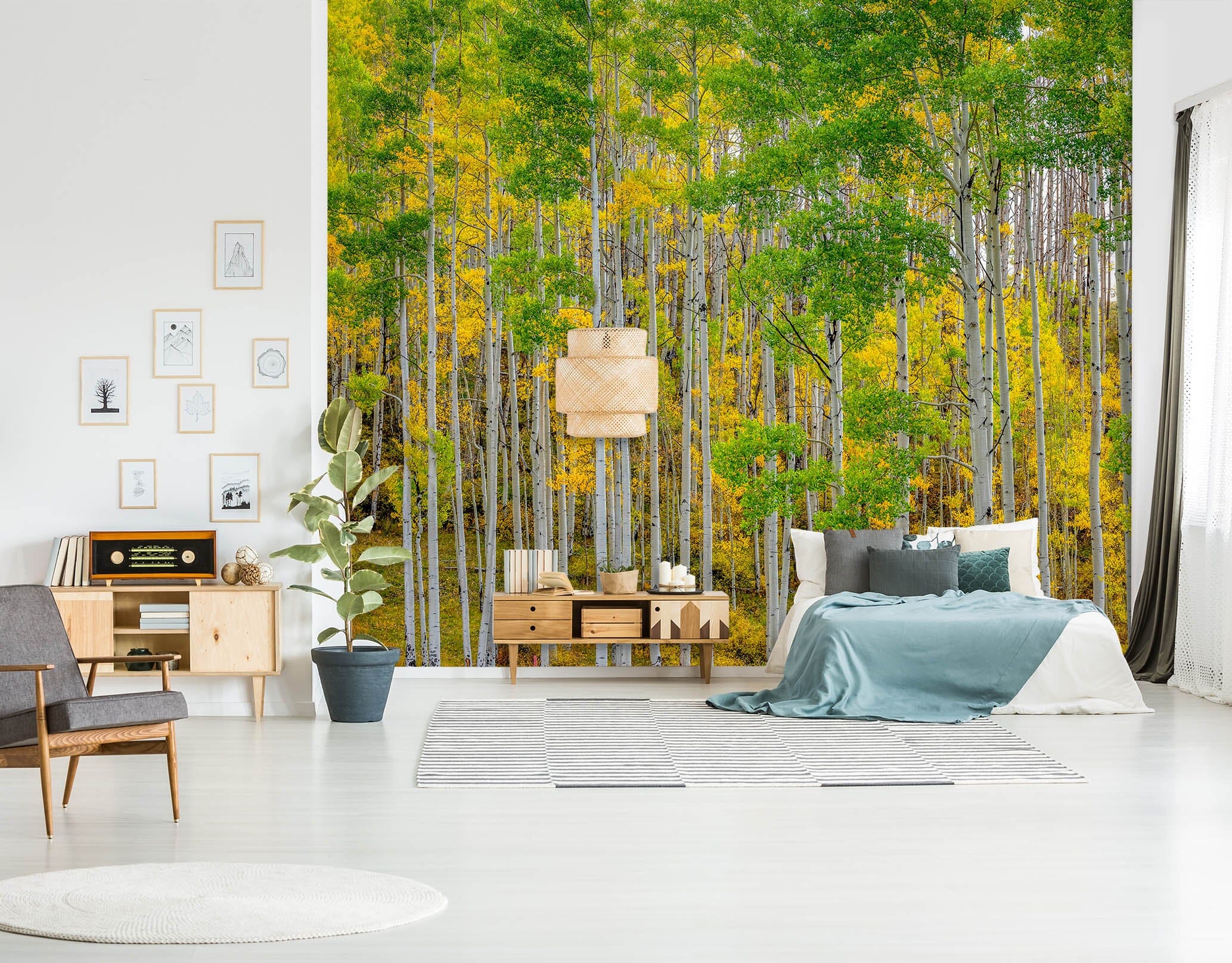 3D Autumn Forest 1436 Marco Carmassi Wall Mural Wall Murals Wallpaper AJ Wallpaper 2