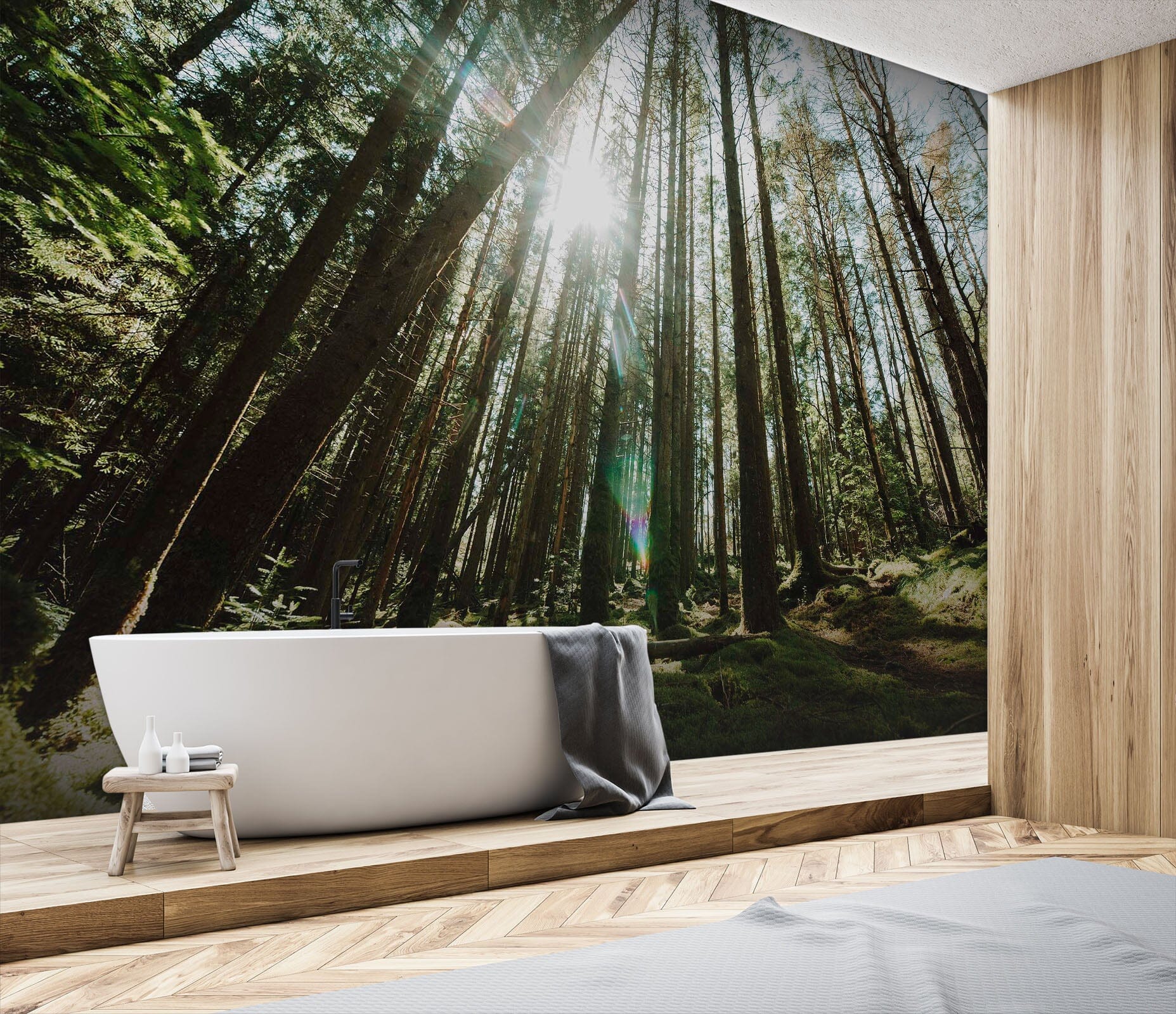 3D Woods Shadow 136 Wall Murals Wallpaper AJ Wallpaper 2