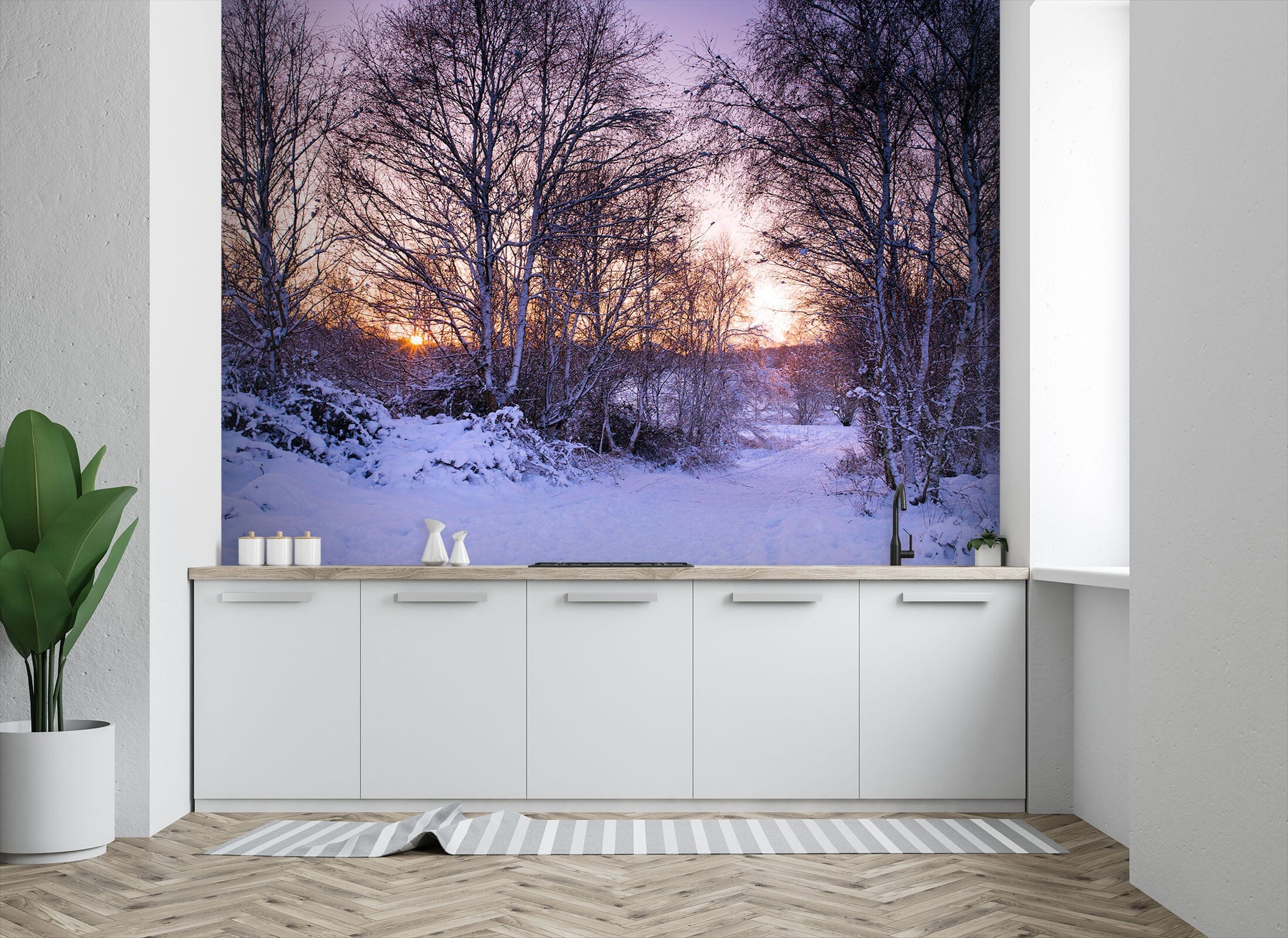 3D Forest After Snow 1402 Assaf Frank Wall Mural Wall Murals Wallpaper AJ Wallpaper 2