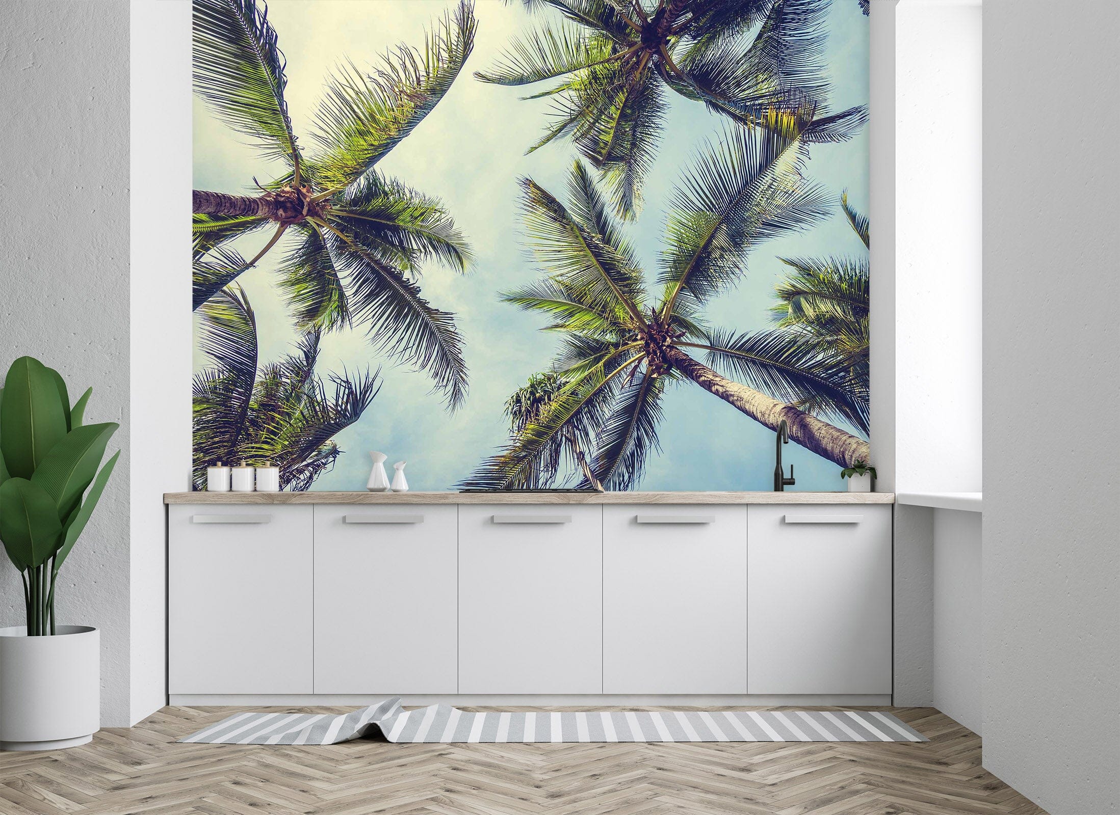 3D Coconut Tree 88 Wall Murals Wallpaper AJ Wallpaper 2