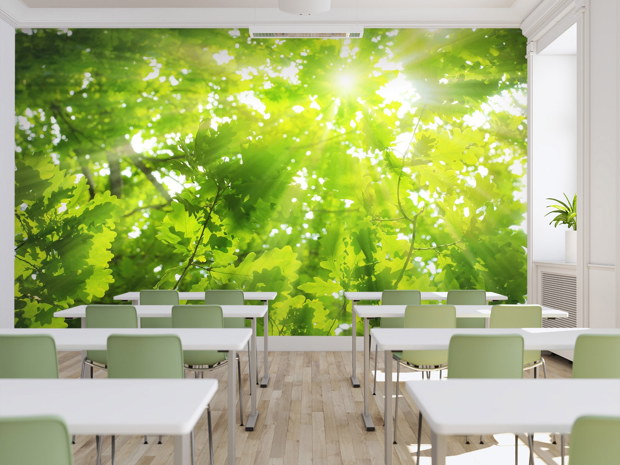 3D Green Nature 157 Wall Murals Wallpaper AJ Wallpaper 2