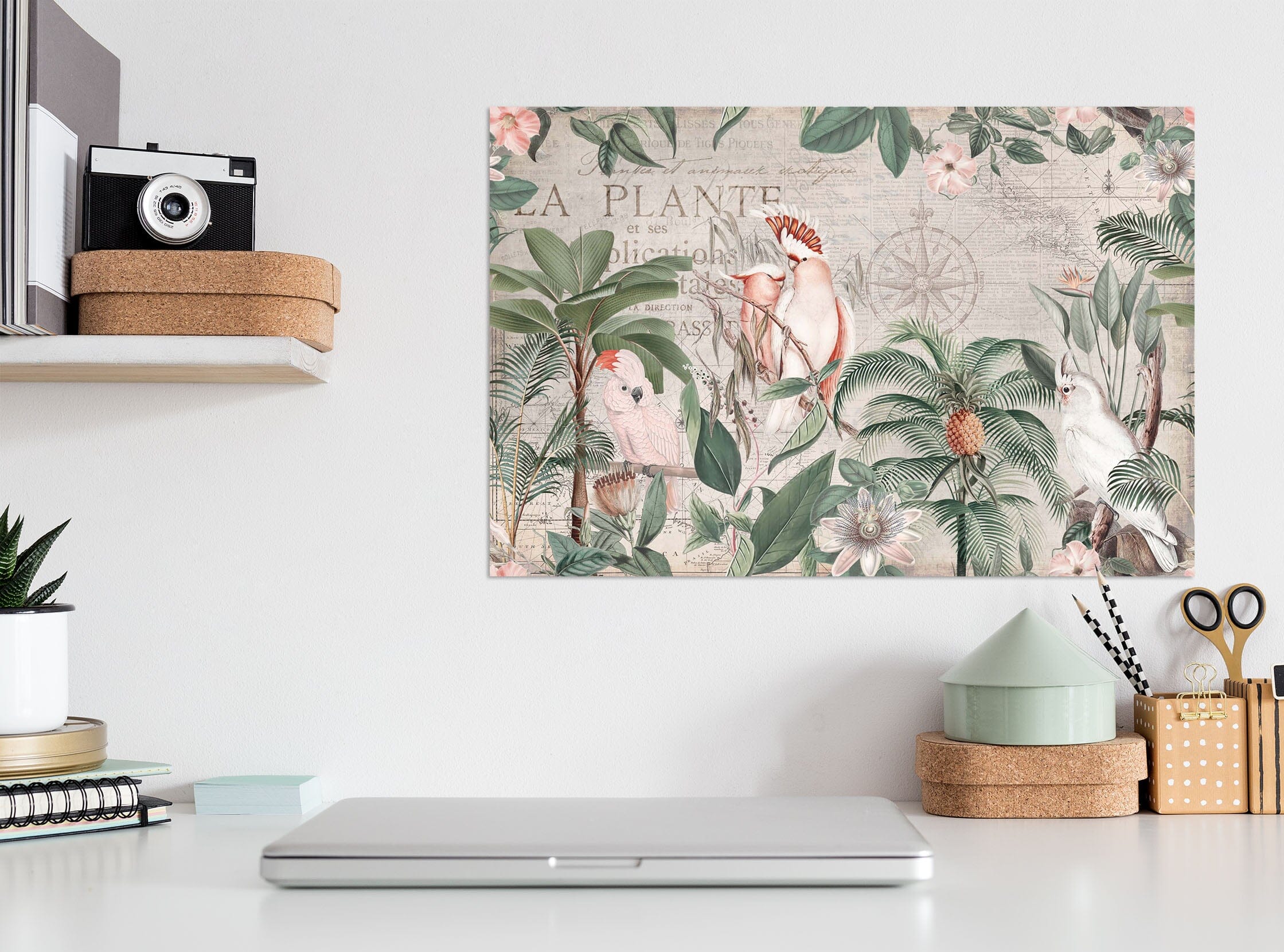 3D Parrot Friend 042 Andrea haase Wall Sticker Wallpaper AJ Wallpaper 2