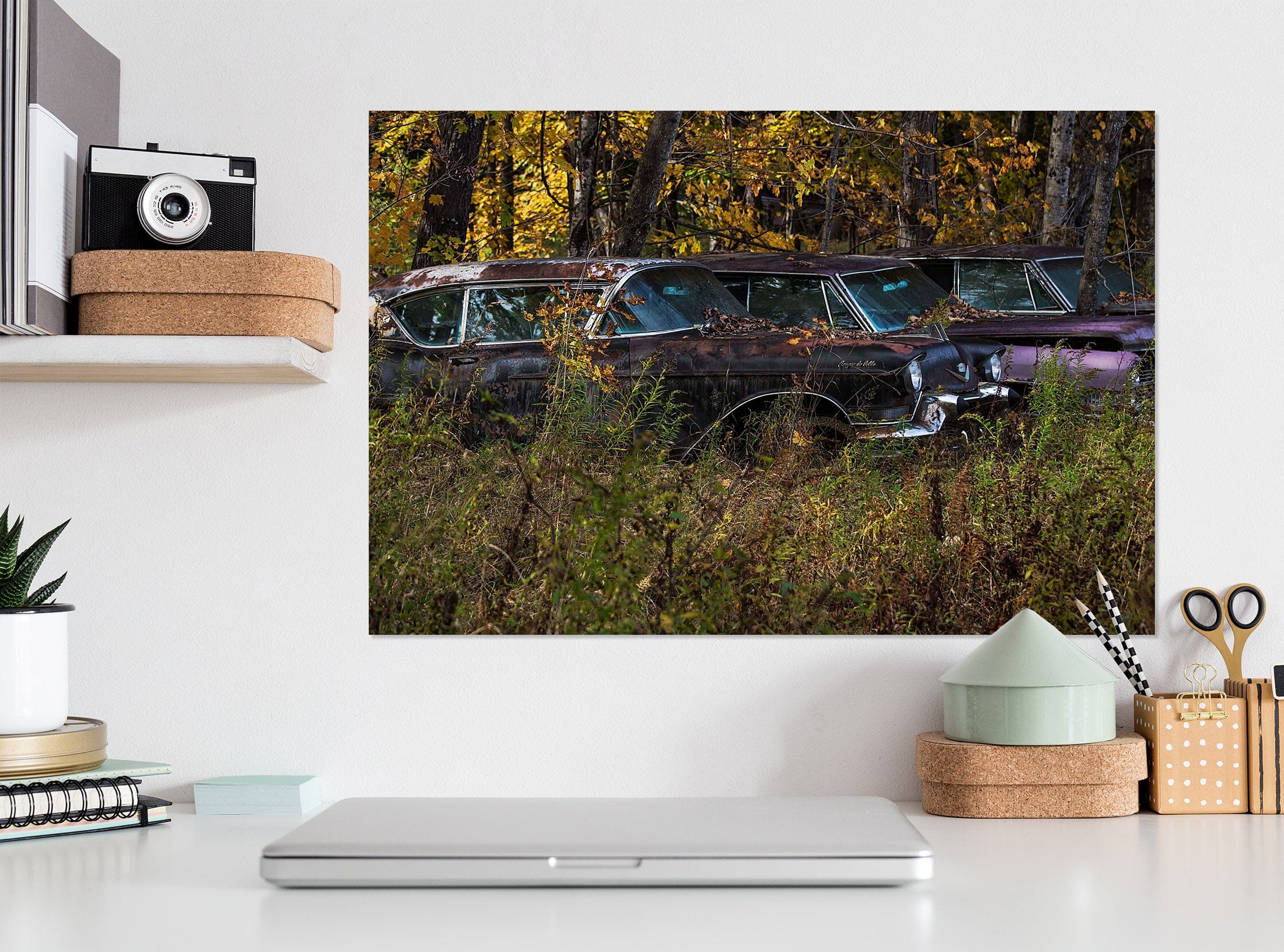 3D Jungle Car 103 Jerry LoFaro Wall Sticker Wallpaper AJ Wallpaper 2