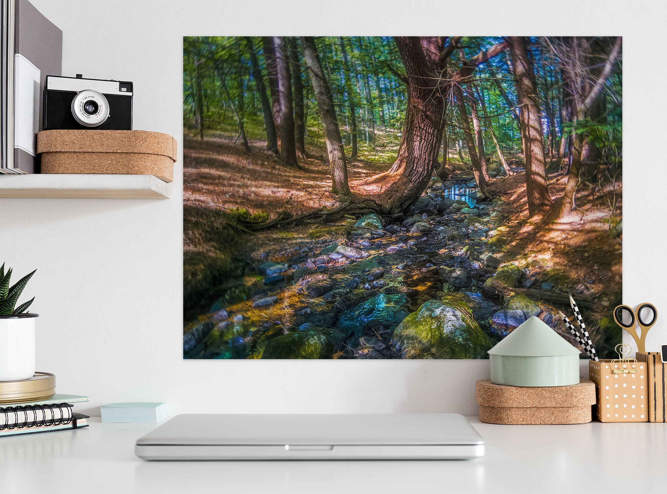 3D Parrish Woods 85162 Jerry LoFaro Wall Sticker