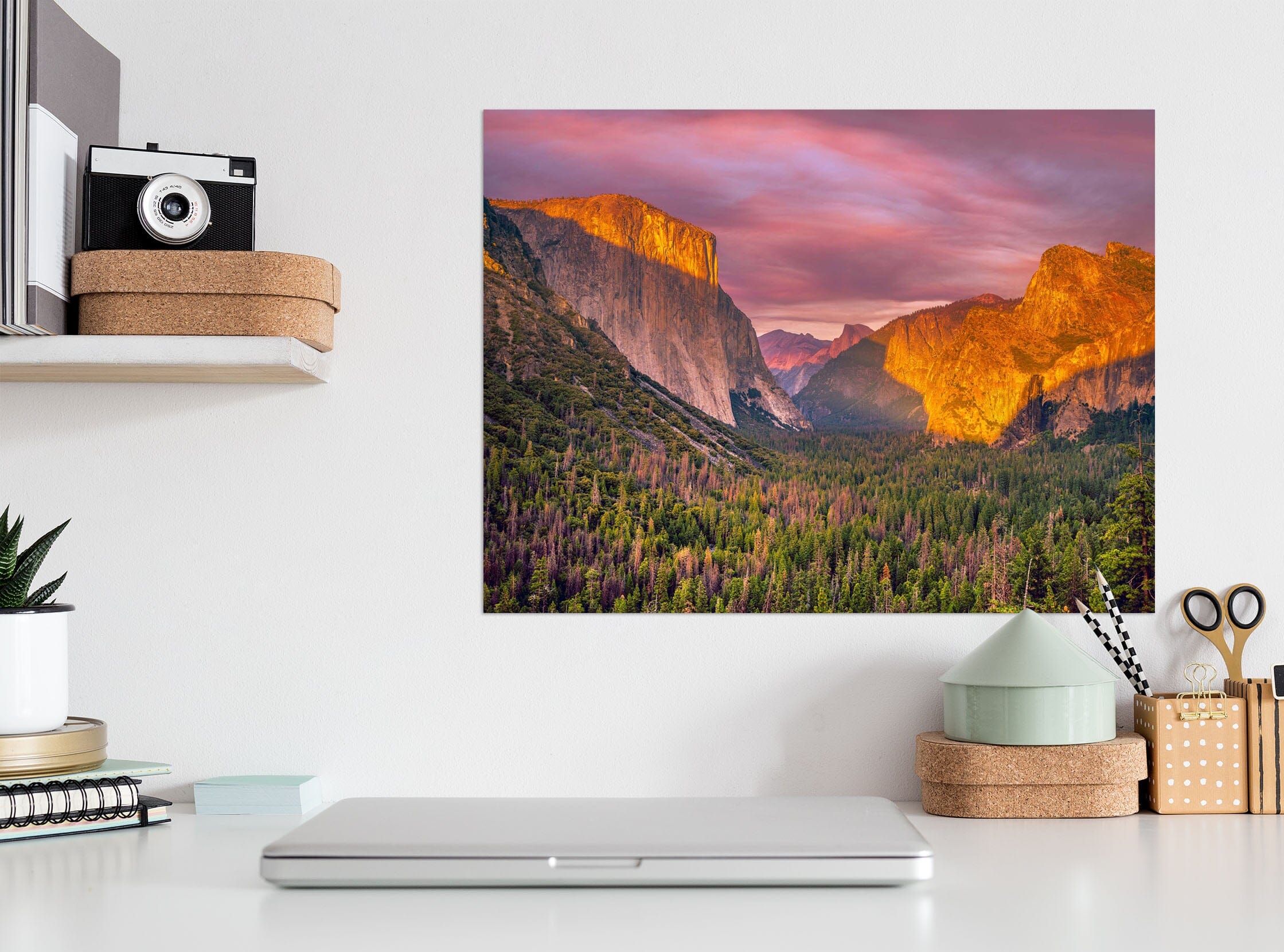 3D Green Forest 226 Marco Carmassi Wall Sticker Wallpaper AJ Wallpaper 2