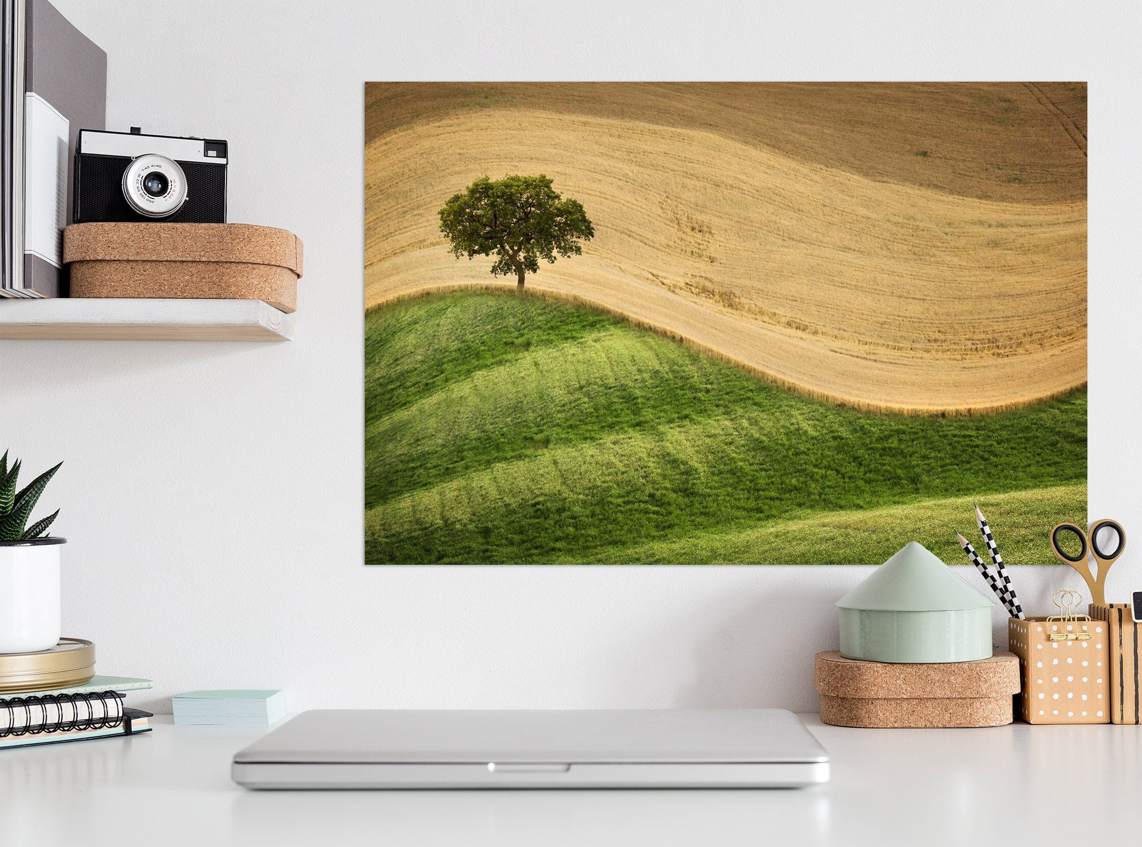 3D Desert Greenery 113 Marco Carmassi Wall Sticker Wallpaper AJ Wallpaper 2