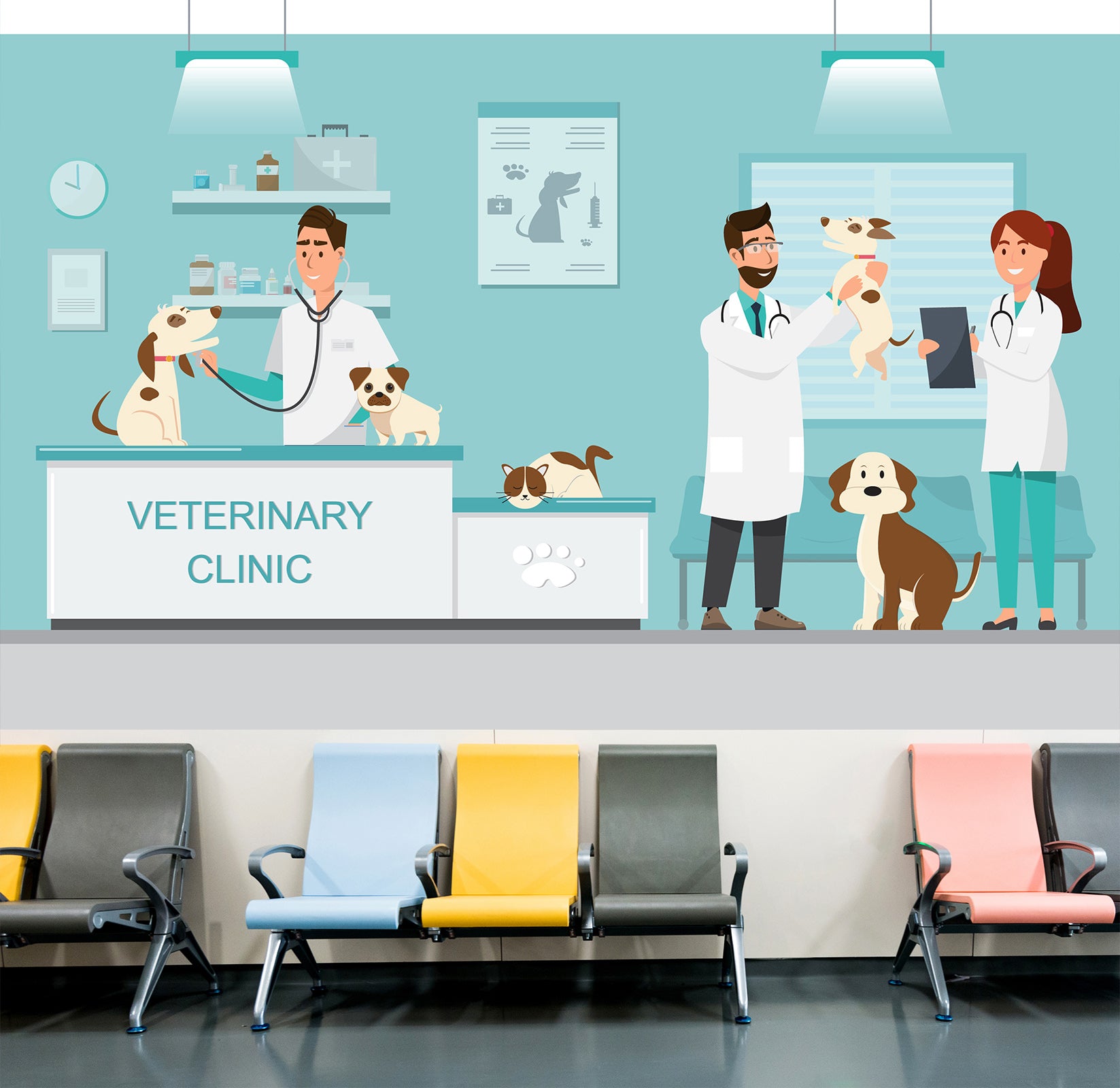 3D Veterinary Dog 039 Wall Murals Wallpaper AJ Wallpaper 2