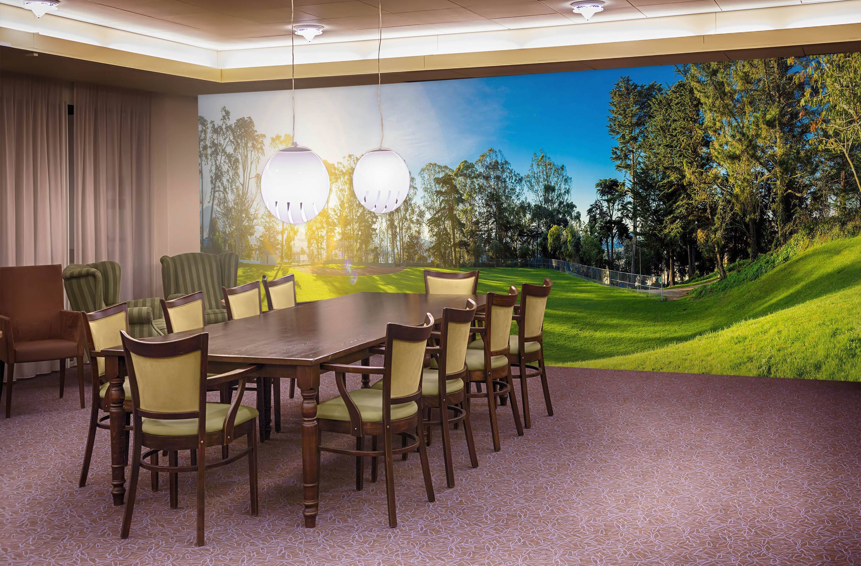 3D Sunshine Park 35 Wall Murals Wallpaper AJ Wallpaper 2