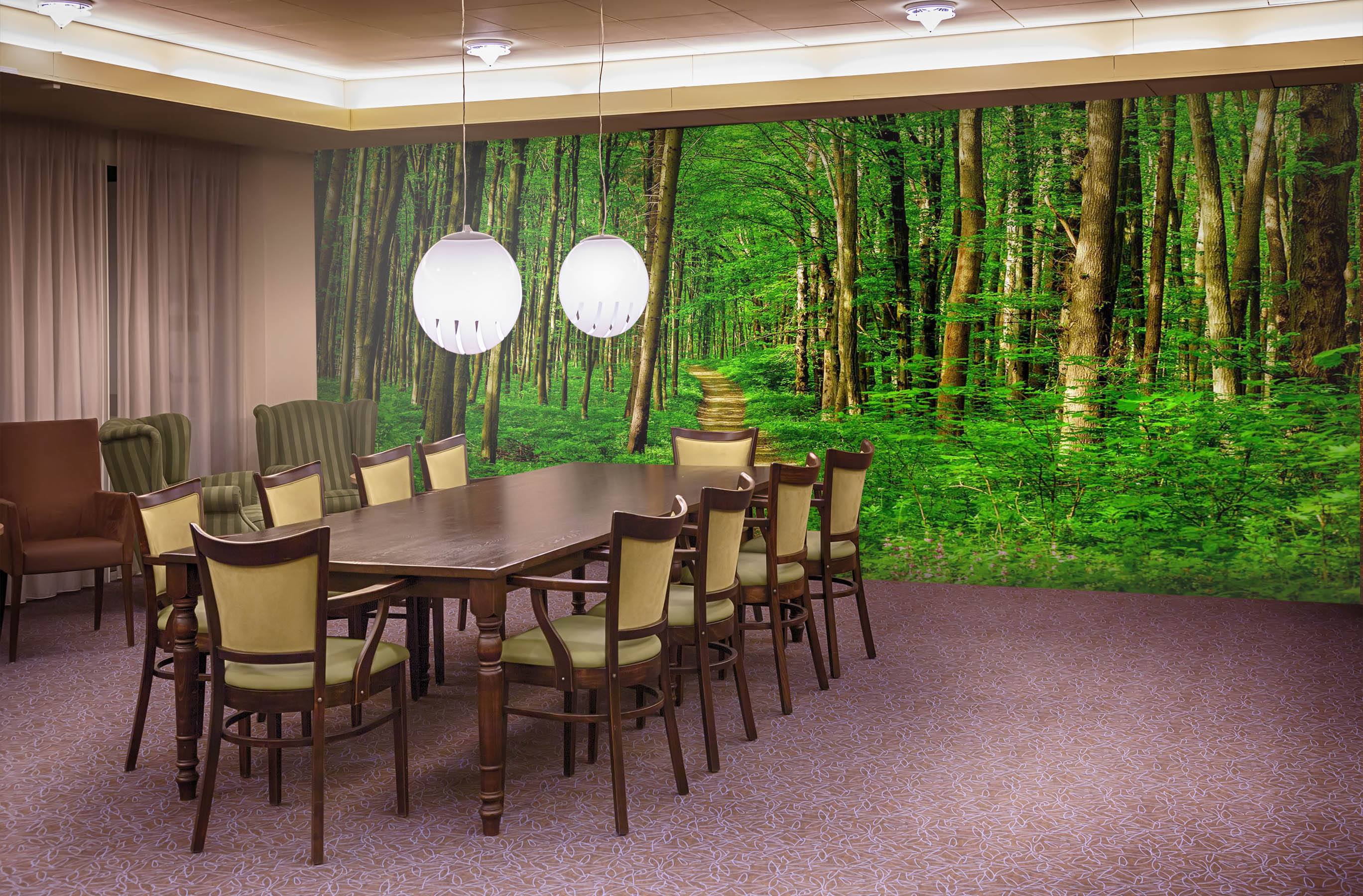 3D Forest Path 04 Wall Murals Wallpaper AJ Wallpaper 2