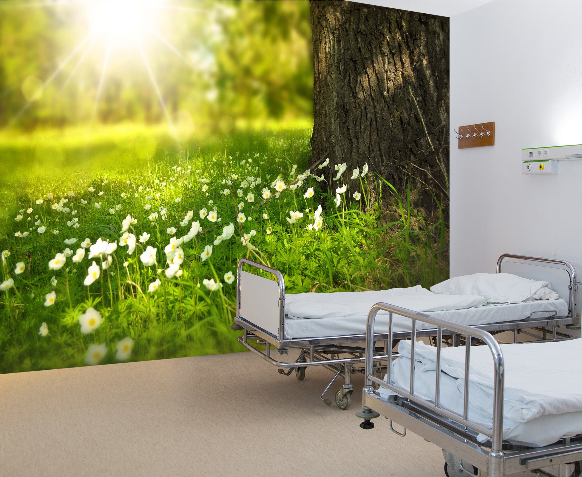 3D Small White Flower 336 Wall Murals