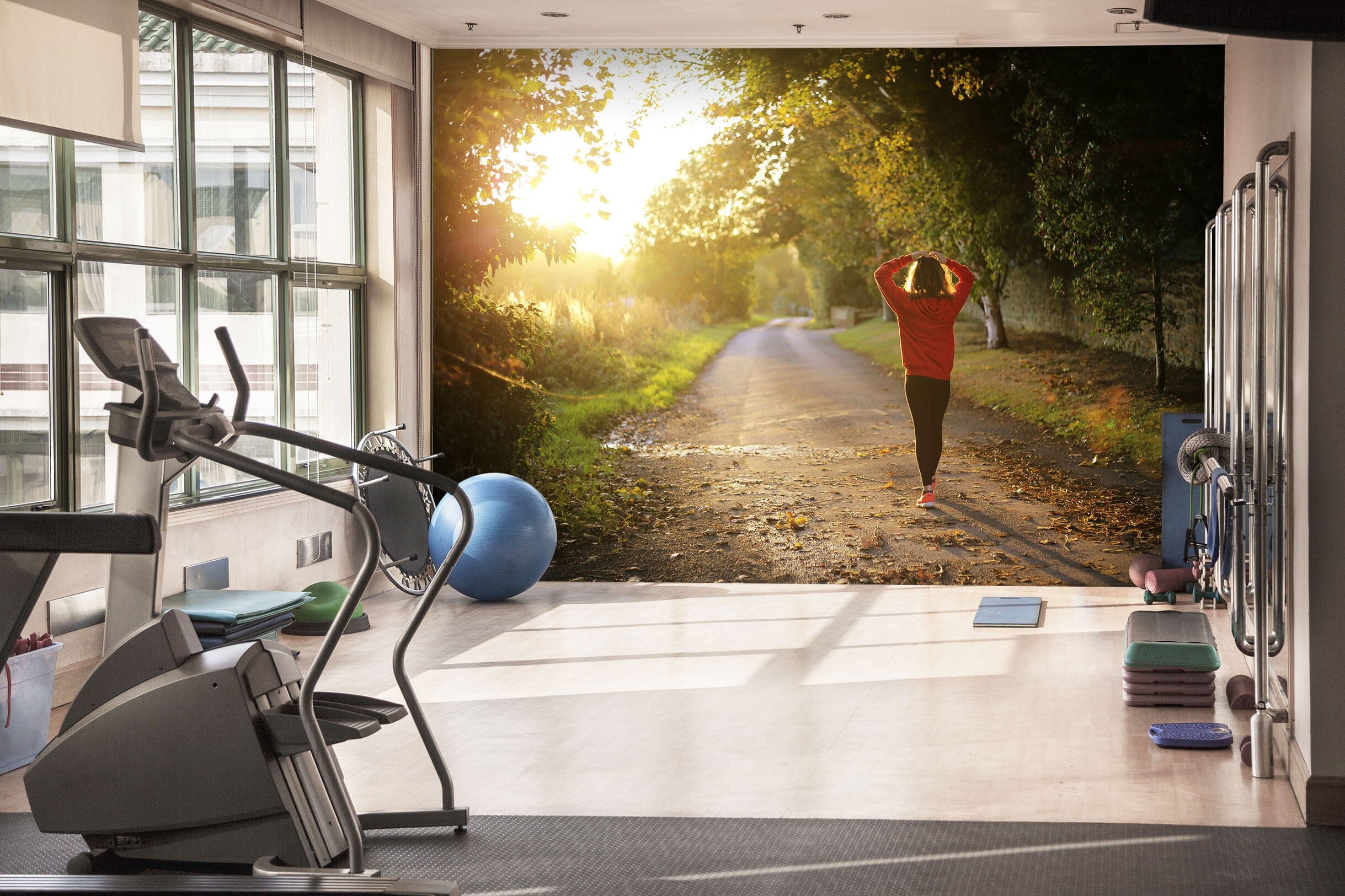 3D Morning Forest 236 Wall Murals Wallpaper AJ Wallpaper 2
