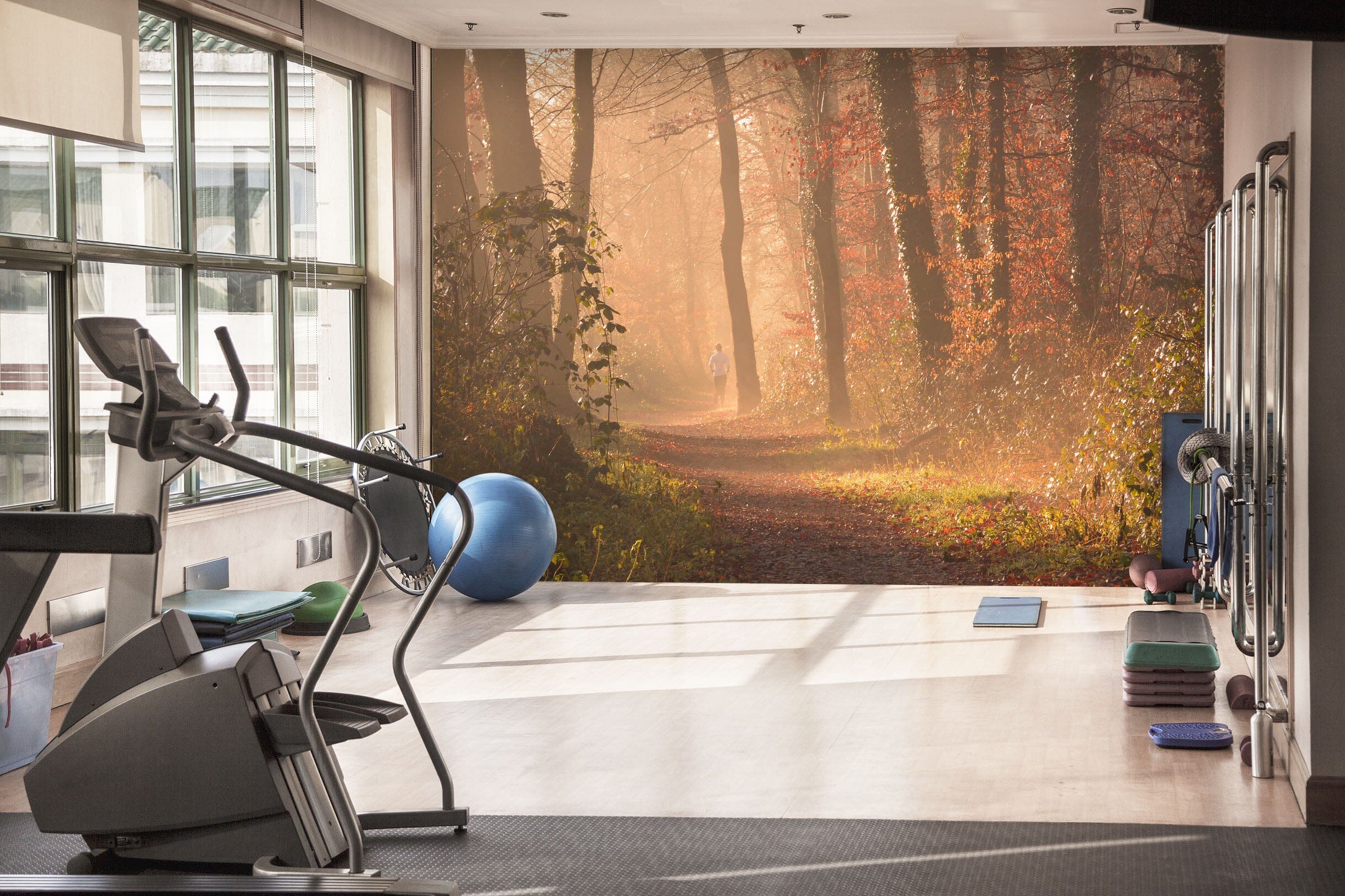 3D Autumn Jungle 207 Wall Murals Wallpaper AJ Wallpaper 2