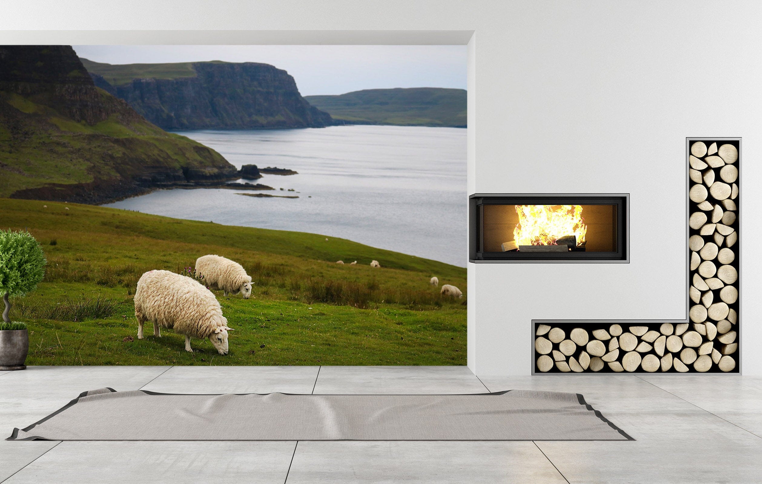 3D Steppe Sheep 120 Jerry LoFaro Wall Mural Wall Murals Wallpaper AJ Wallpaper 2