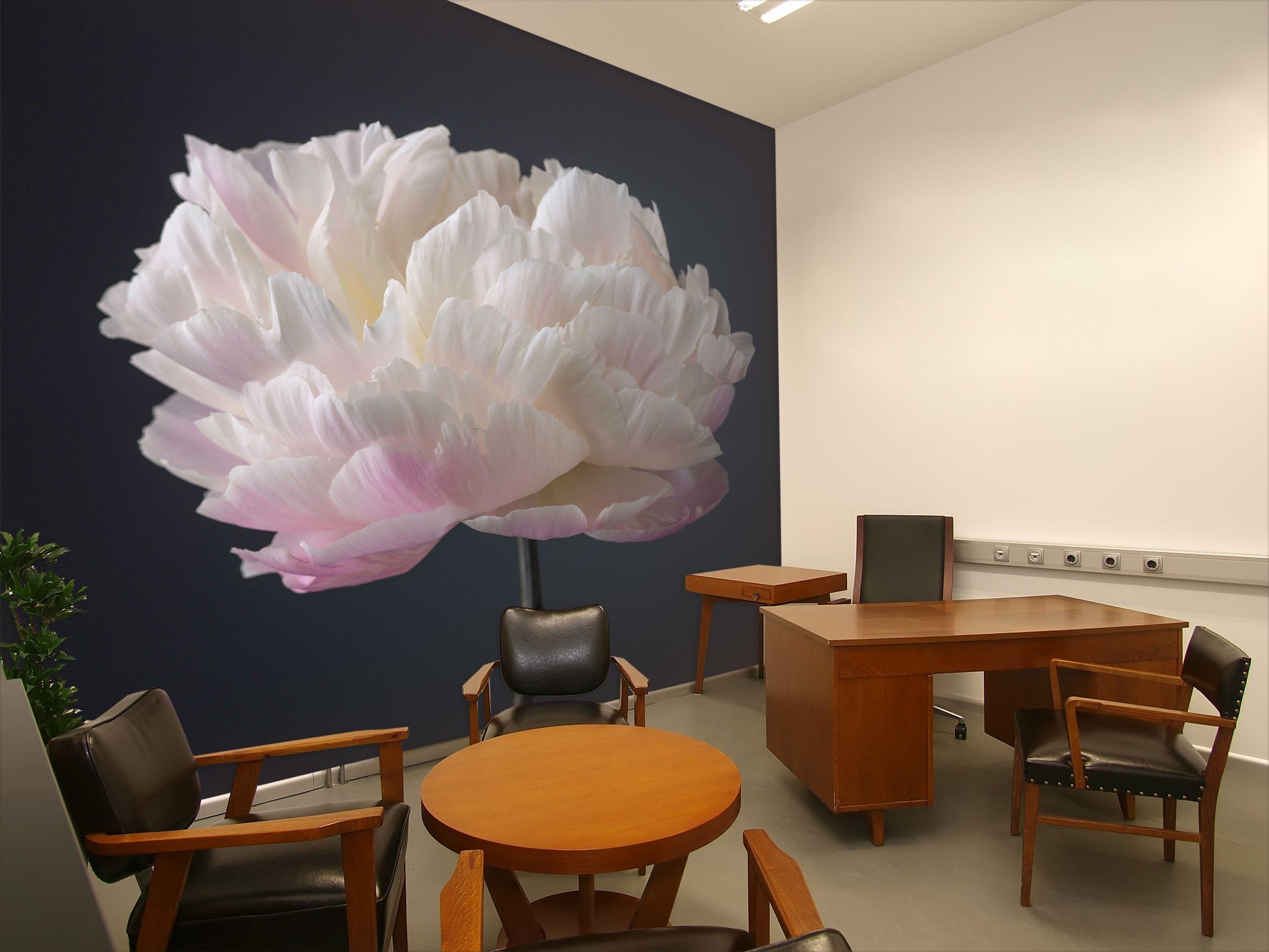 3D Beautiful Flowers 1412 Assaf Frank Wall Mural Wall Murals Wallpaper AJ Wallpaper 2