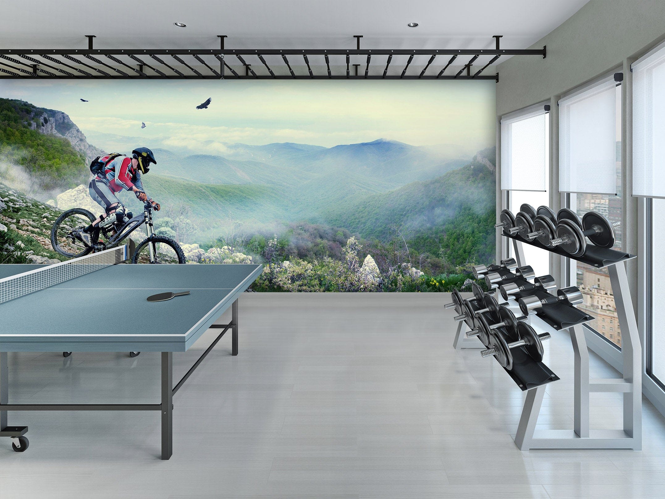 3D Mountain Biking 225 Wall Murals Wallpaper AJ Wallpaper 2
