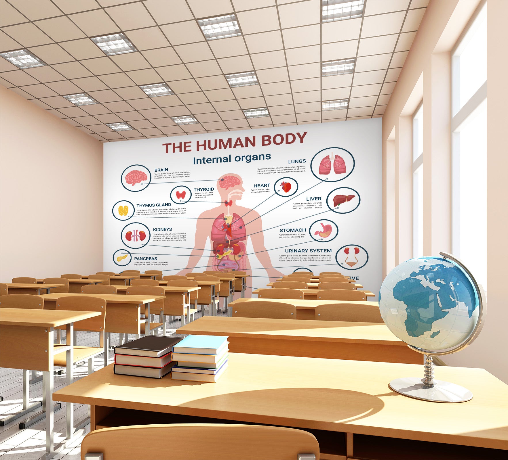 3D Human Organs 188 Wall Murals