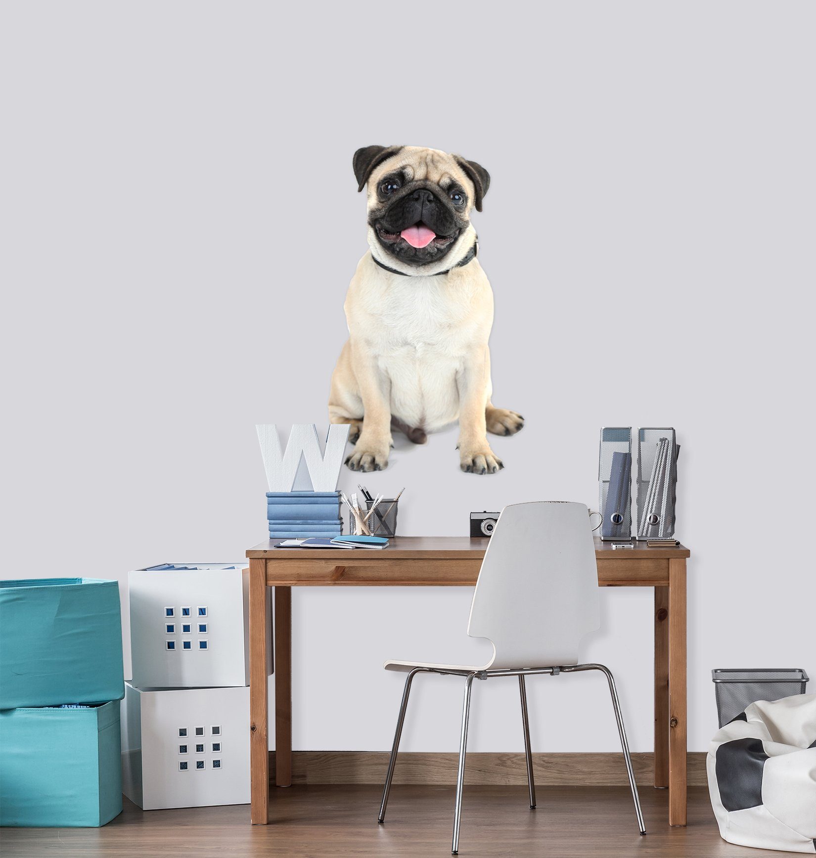 3D Dog Silly 152 Animals Wall Stickers Wallpaper AJ Wallpaper