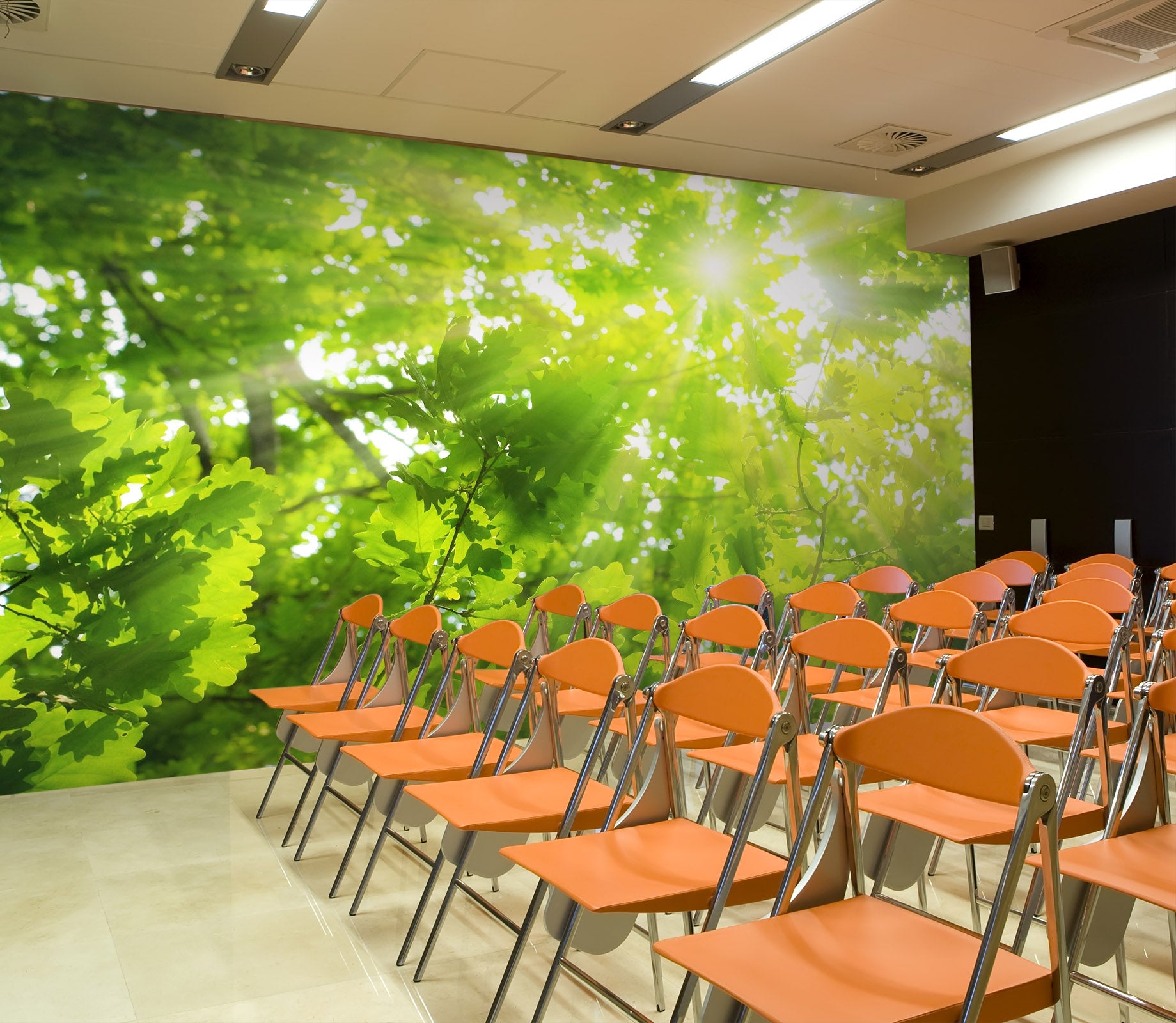 3D Green Nature 147 Wall Murals