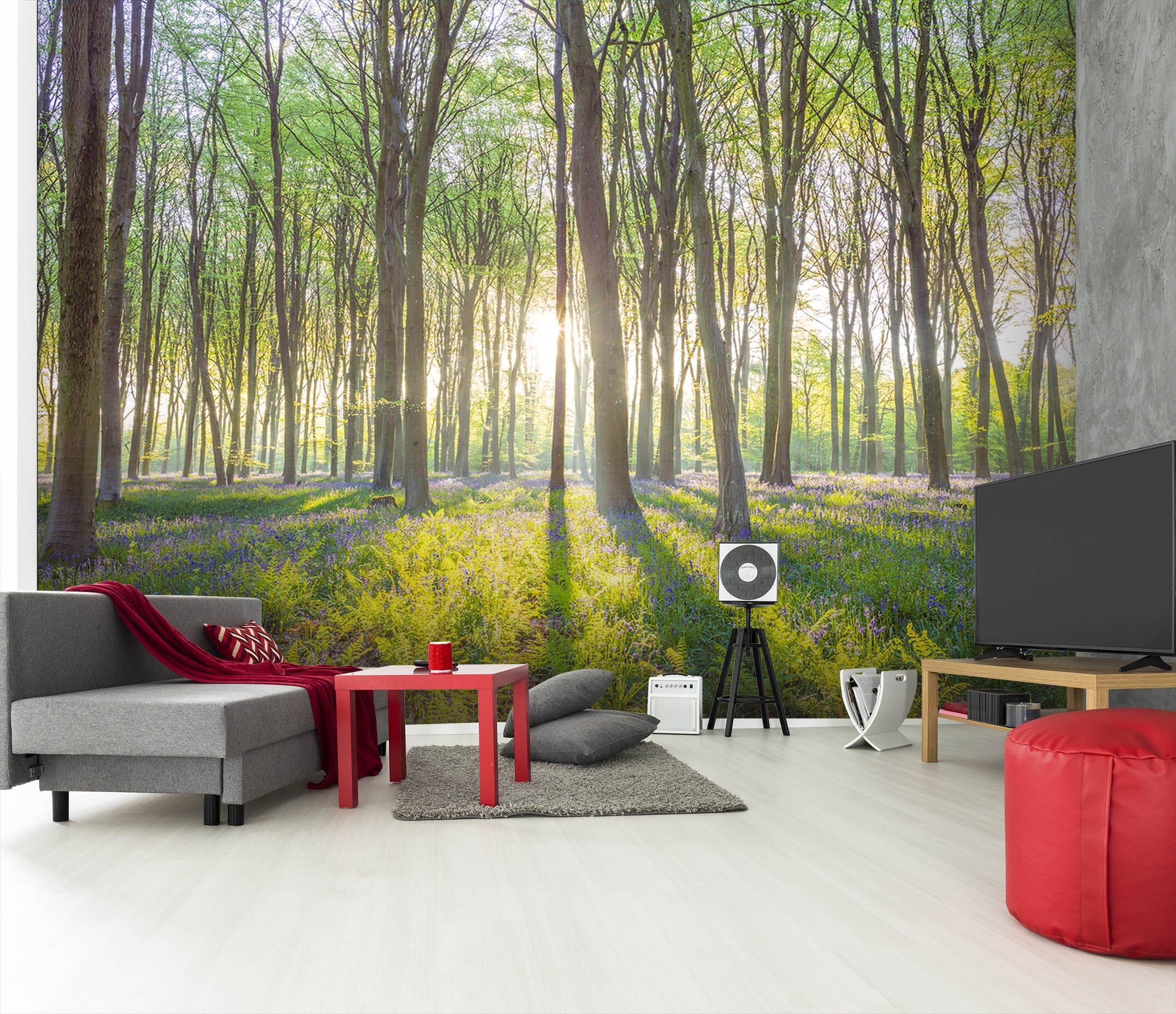 3D Forest Sunshine 1419 Assaf Frank Wall Mural Wall Murals Wallpaper AJ Wallpaper 2