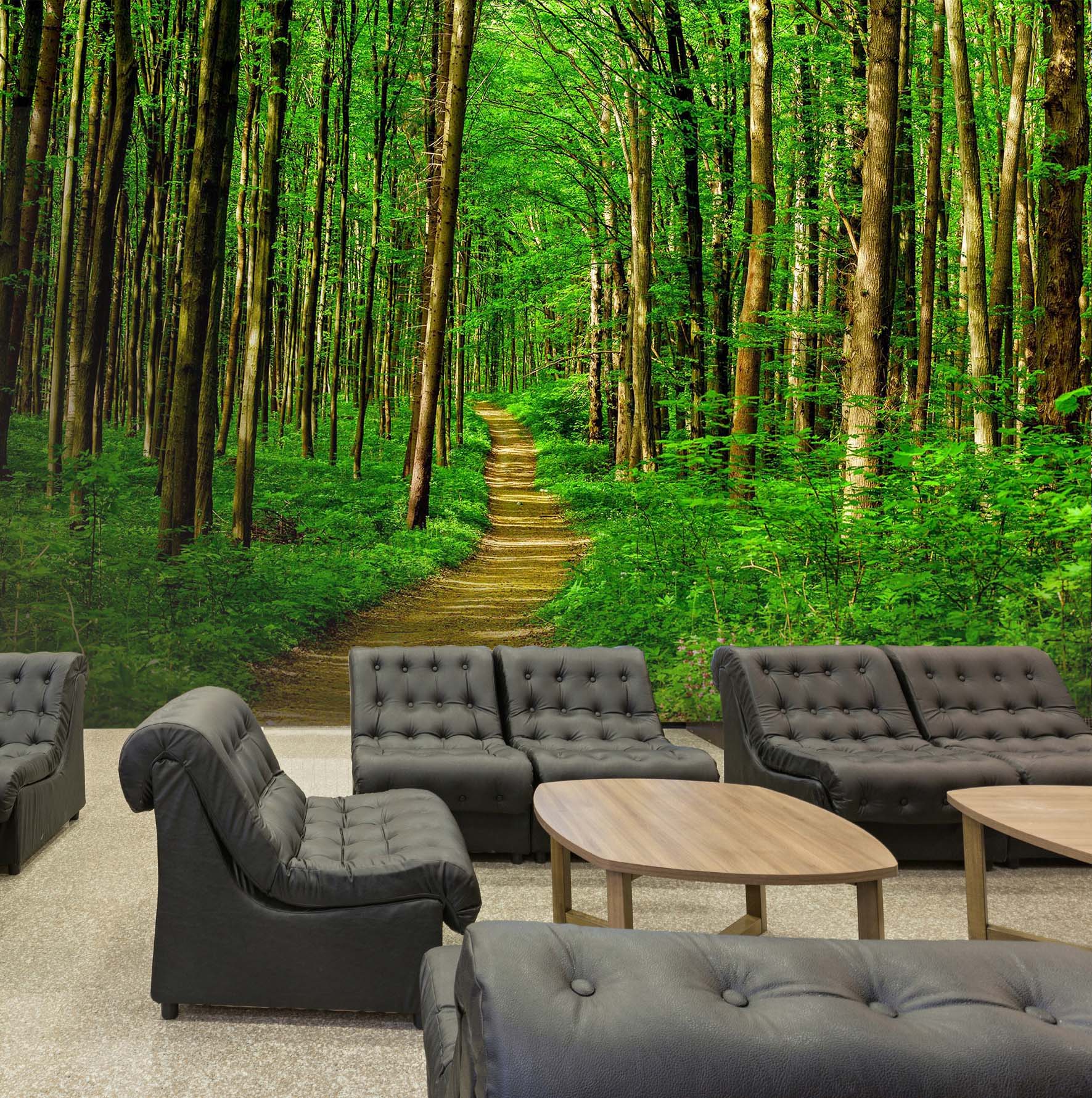 3D Forest Path 04 Wall Murals Wallpaper AJ Wallpaper 2