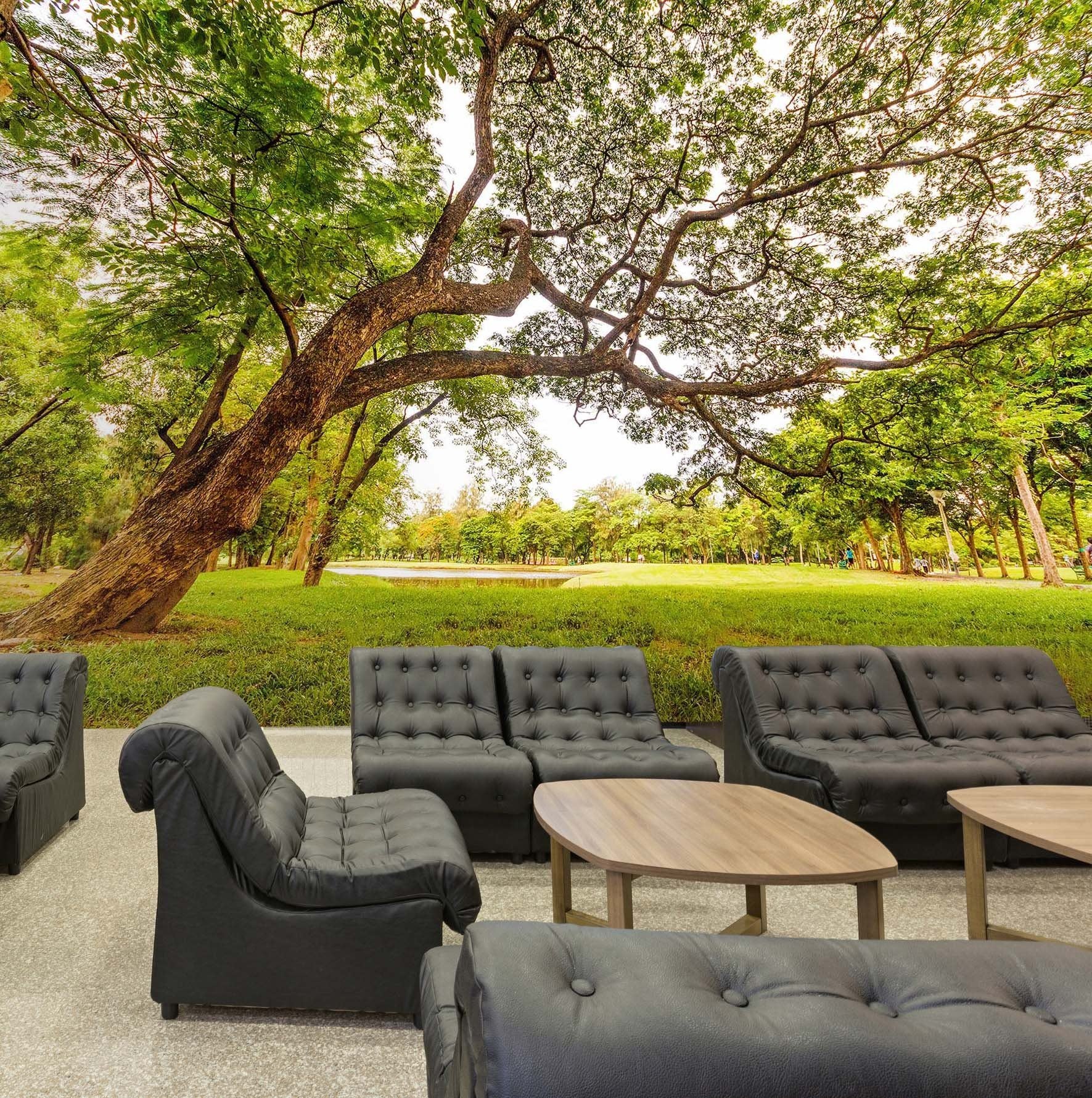 3D Bright Dawn Daylight 21 Wall Murals Wallpaper AJ Wallpaper 2