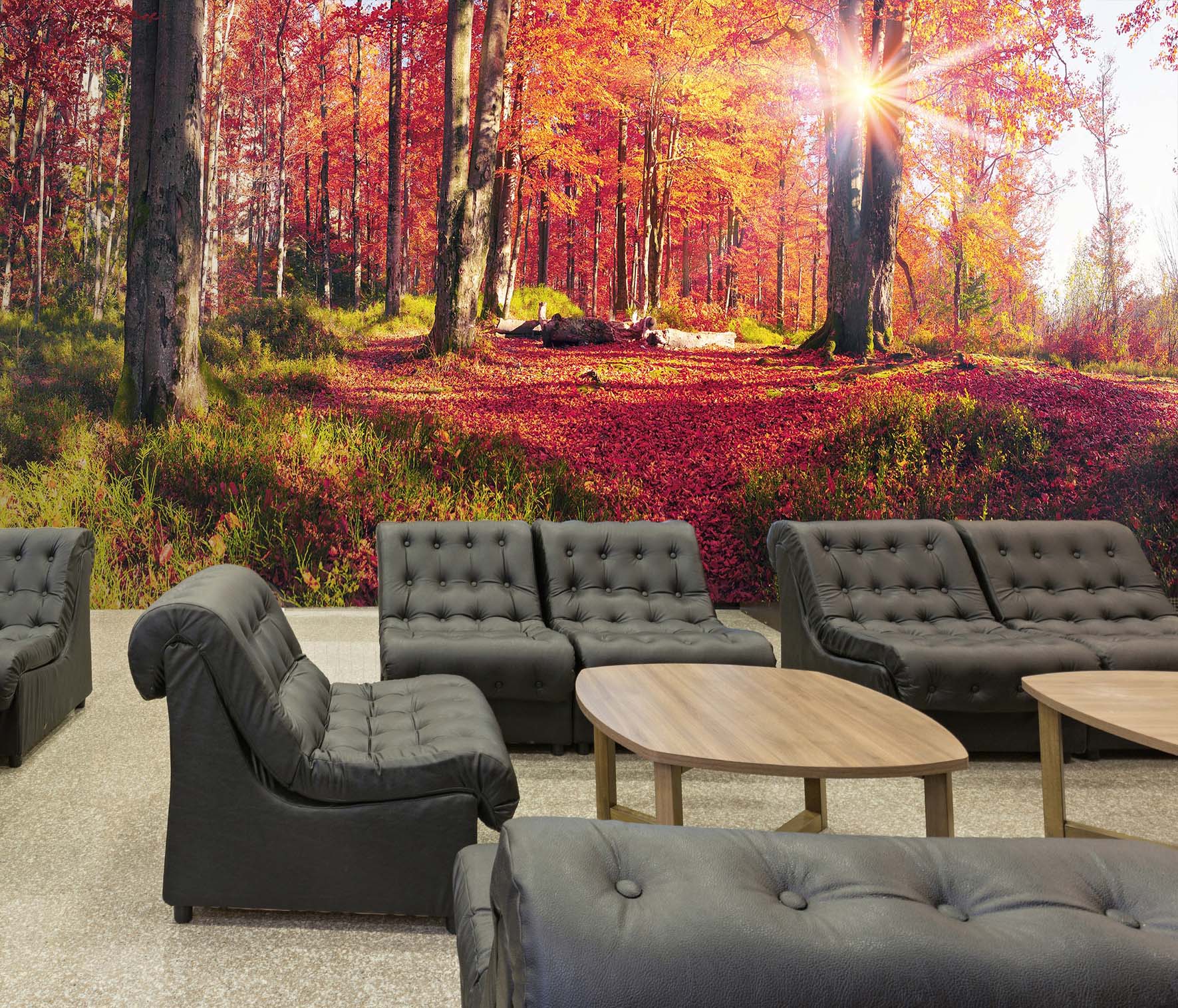 3D Maple Forest 20 Wall Murals Wallpaper AJ Wallpaper 2