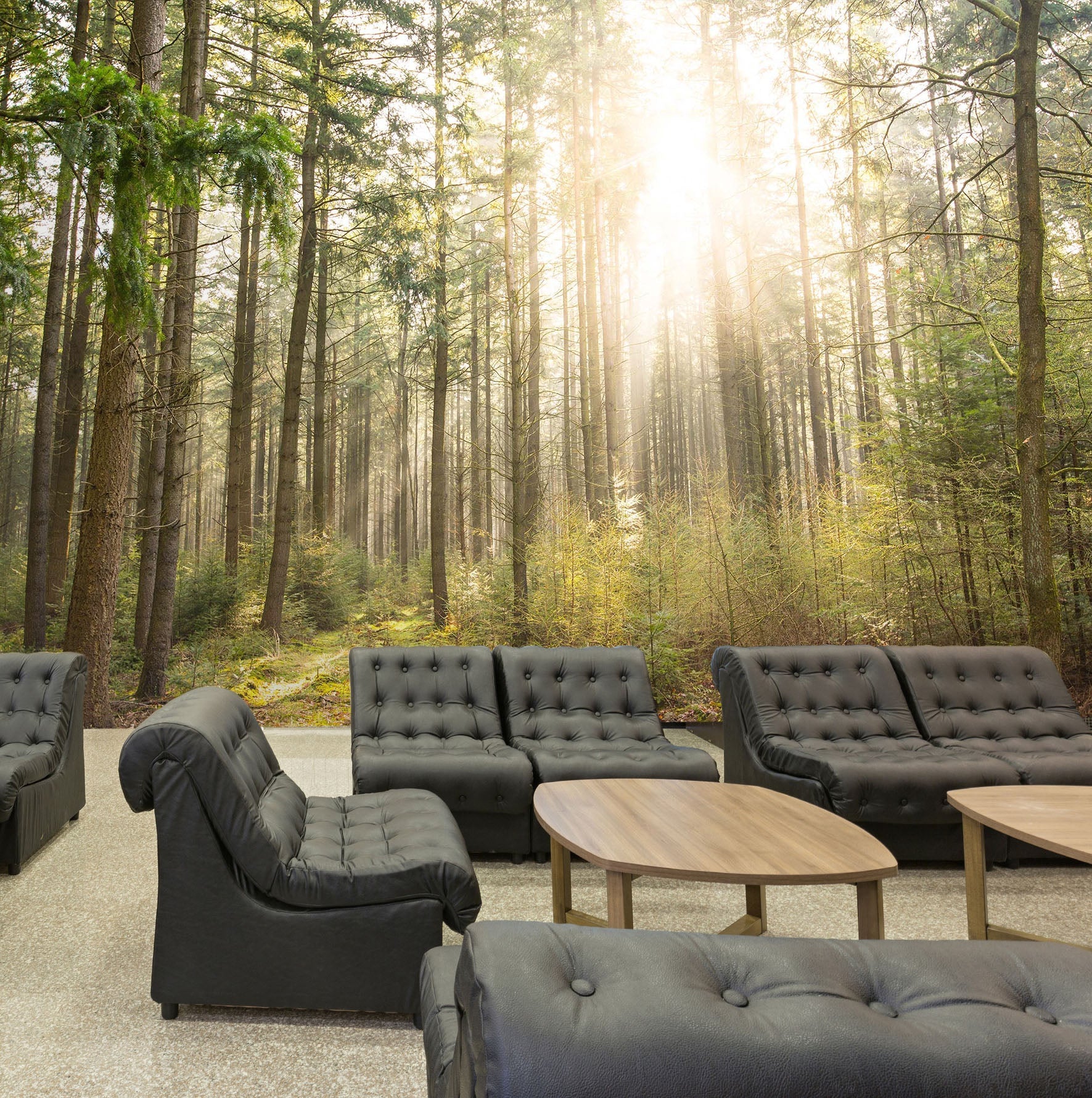 3D Grass Sunshine 27 Wall Murals Wallpaper AJ Wallpaper 2