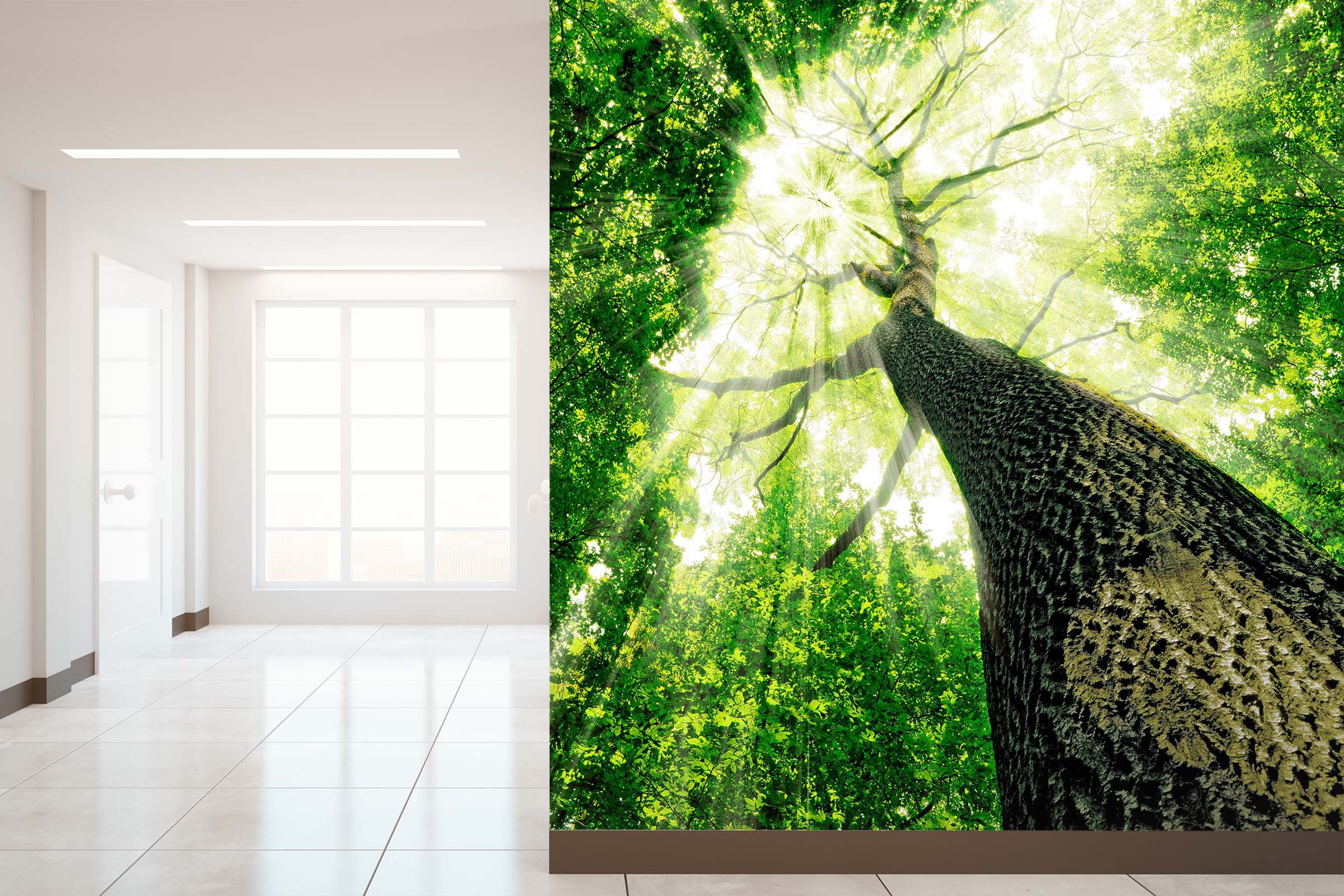 3D Landscape Tree 012 Wall Murals