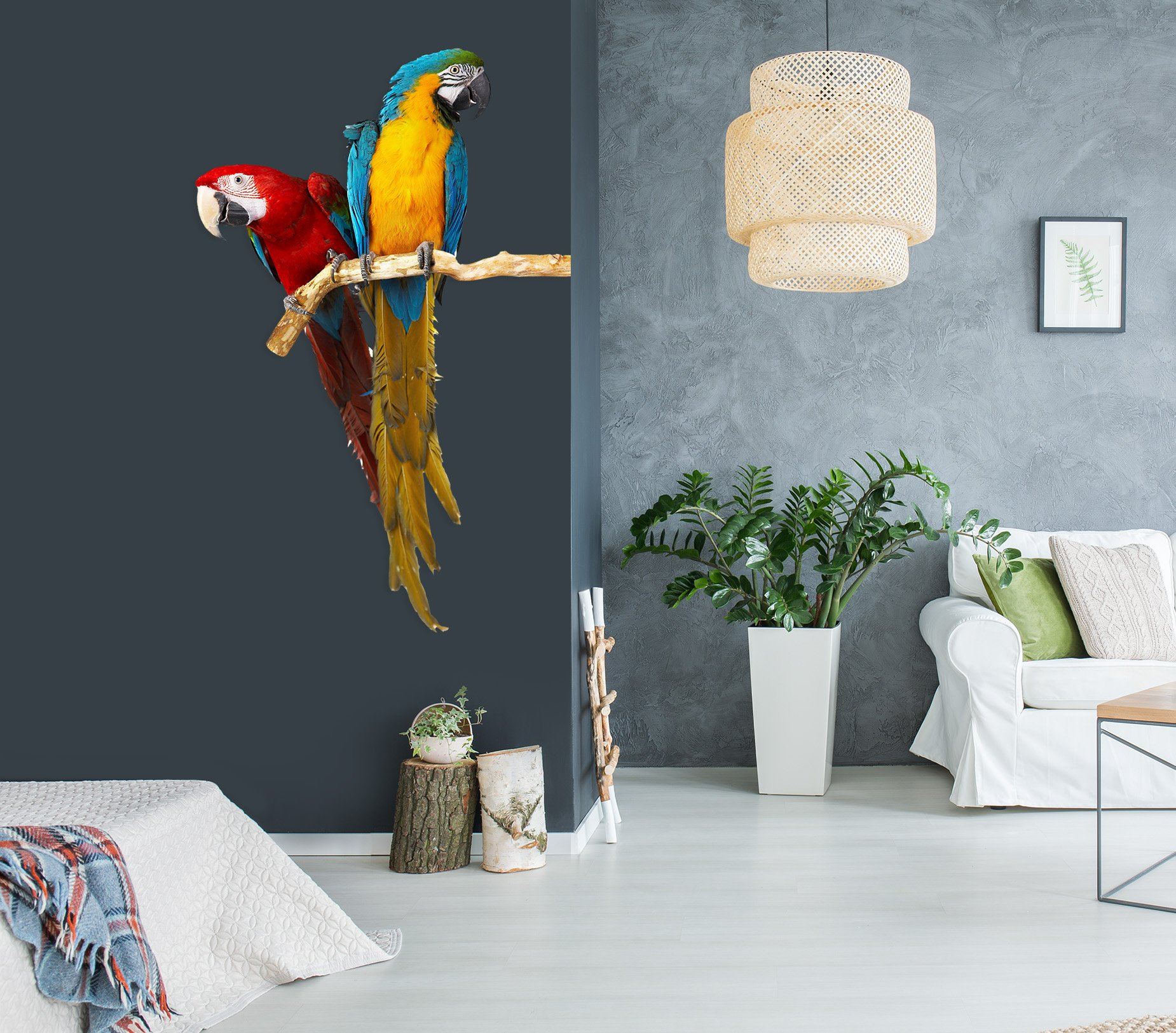 3D Two Parrots 186 Animals Wall Stickers Wallpaper AJ Wallpaper
